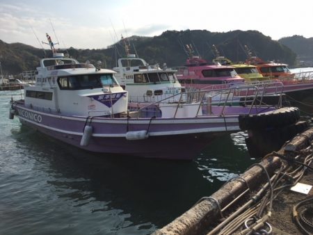 鵜来島家本渡船 釣果