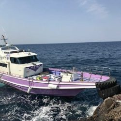 鵜来島家本渡船 釣果