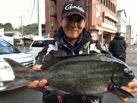 鵜来島家本渡船 釣果