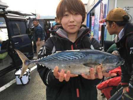 鵜来島家本渡船 釣果