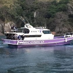 鵜来島家本渡船 釣果