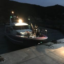 鵜来島家本渡船 釣果
