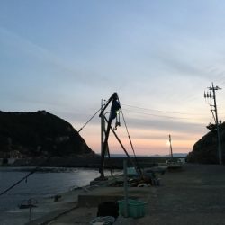 鵜来島家本渡船 釣果