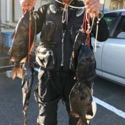 鵜来島家本渡船 釣果