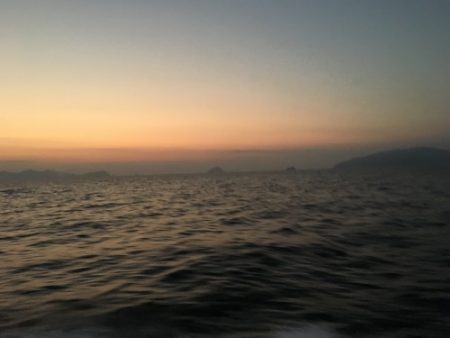 鵜来島家本渡船 釣果