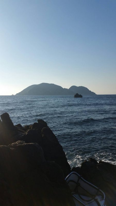 鵜来島家本渡船 釣果