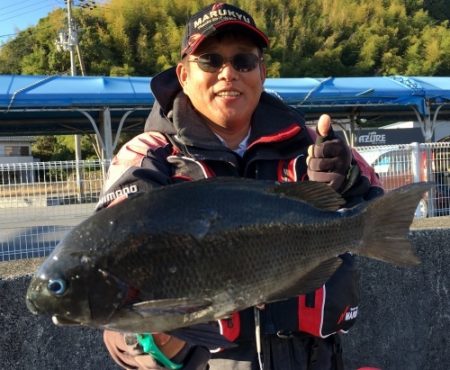 鵜来島家本渡船 釣果