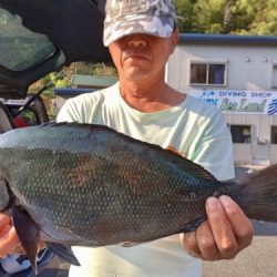 鵜来島家本渡船 釣果