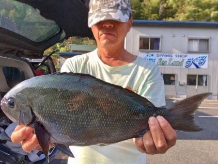 鵜来島家本渡船 釣果