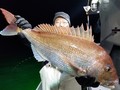 里輝丸 釣果