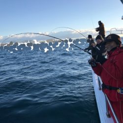 まると屋 釣果
