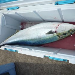 浅間丸 釣果