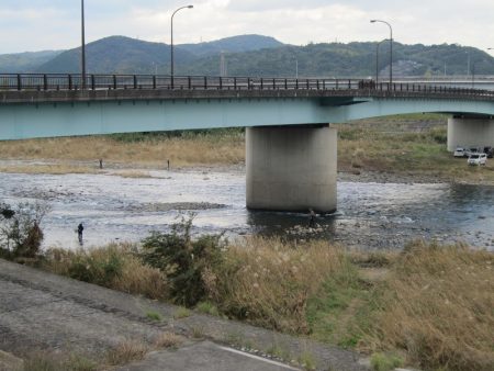 狩野川(狩野川漁業協同組合) 釣果