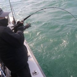 スカイマリン 釣果