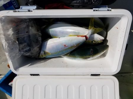 遊漁船 ニライカナイ 釣果