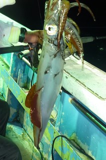 松福丸 釣果