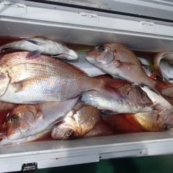 第二むつ漁丸 釣果