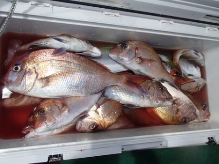 第二むつ漁丸 釣果