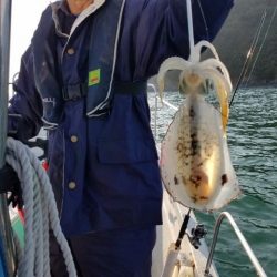 Magic(マジック) 釣果