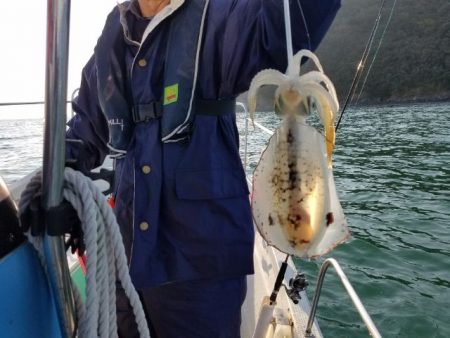 Magic(マジック) 釣果