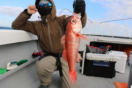 へいみつ丸 釣果