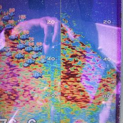 第三むつりょう丸 釣果