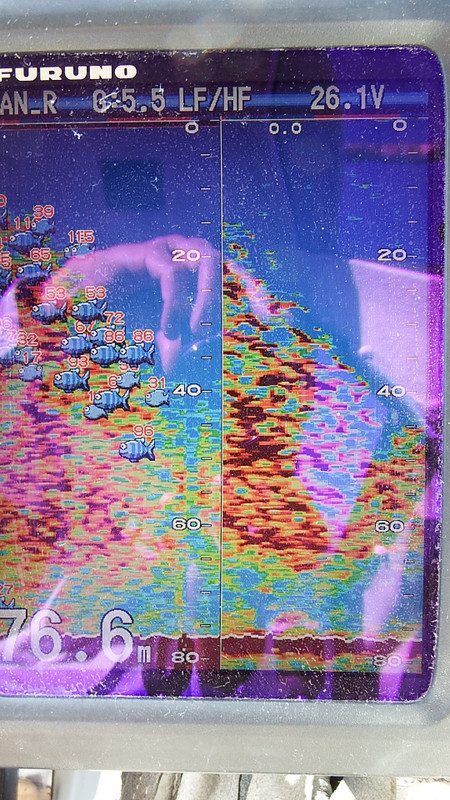 第三むつりょう丸 釣果