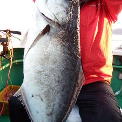 第三むつりょう丸 釣果