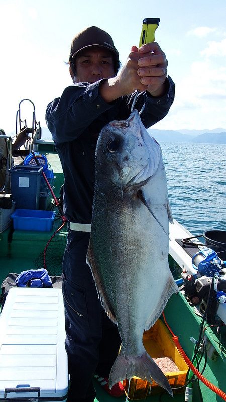 第三むつりょう丸 釣果