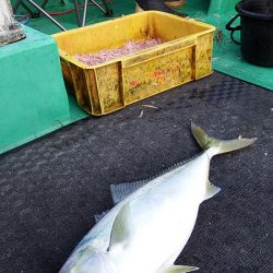 第三むつりょう丸 釣果