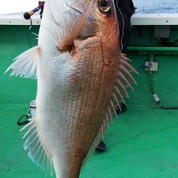 第三むつりょう丸 釣果