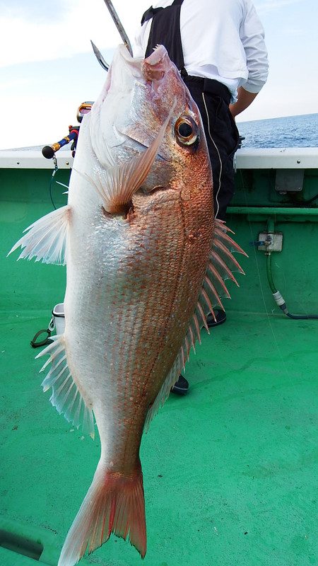 第三むつりょう丸 釣果
