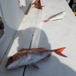 第三むつりょう丸 釣果