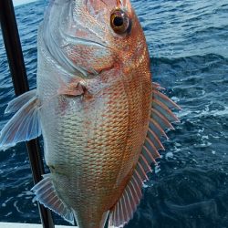 第三むつりょう丸 釣果