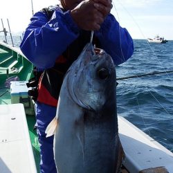 第三むつりょう丸 釣果