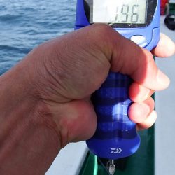 第三むつりょう丸 釣果