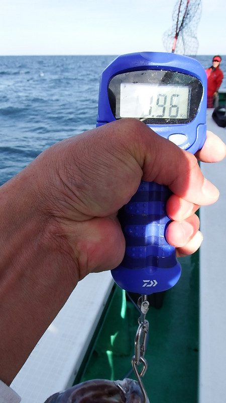 第三むつりょう丸 釣果