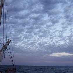 第三むつりょう丸 釣果