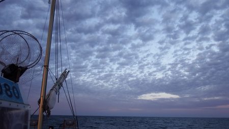 第三むつりょう丸 釣果