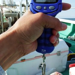 第三むつりょう丸 釣果