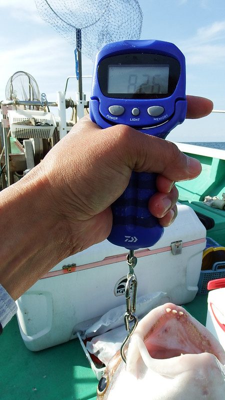 第三むつりょう丸 釣果