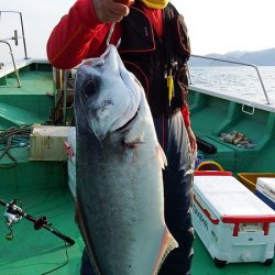 第三むつりょう丸 釣果