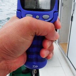 第三むつりょう丸 釣果