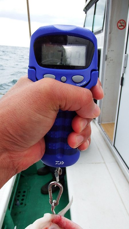 第三むつりょう丸 釣果