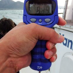 第三むつりょう丸 釣果