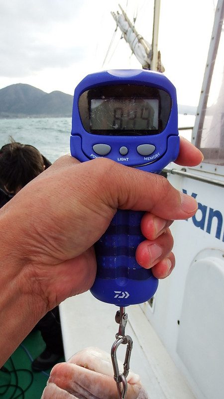 第三むつりょう丸 釣果