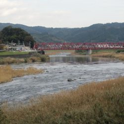 狩野川(狩野川漁業協同組合) 釣果