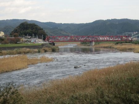 狩野川(狩野川漁業協同組合) 釣果