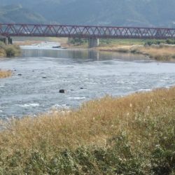 狩野川（狩野川漁業協同組合） 釣果