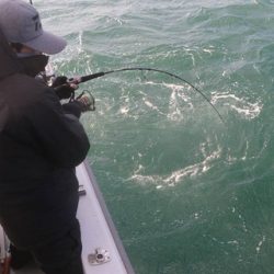 スカイマリン 釣果